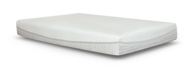 CHIROBIB - Bed In Box - Spine Align